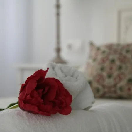 Affittacamere Lar Do Peregrino 3*